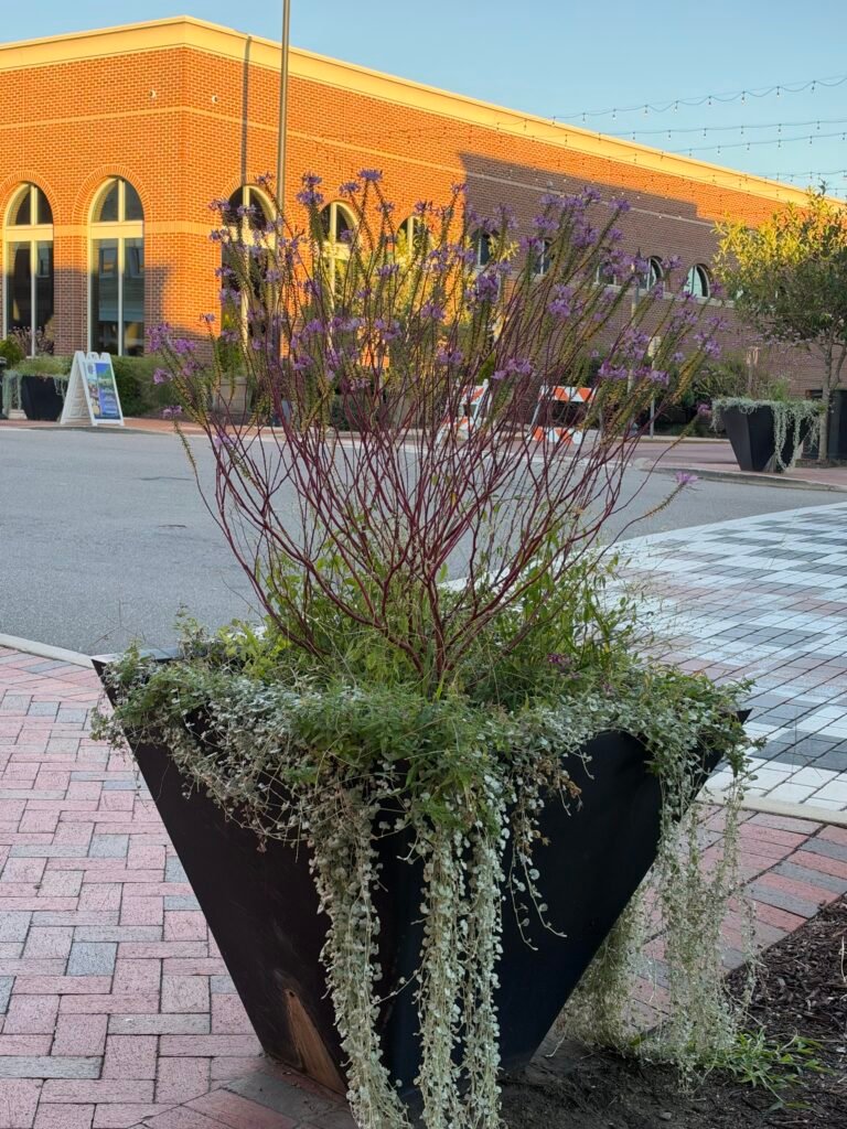 Mooresville, North Carolina, United States — September 26, 2026 · 10:35 PM